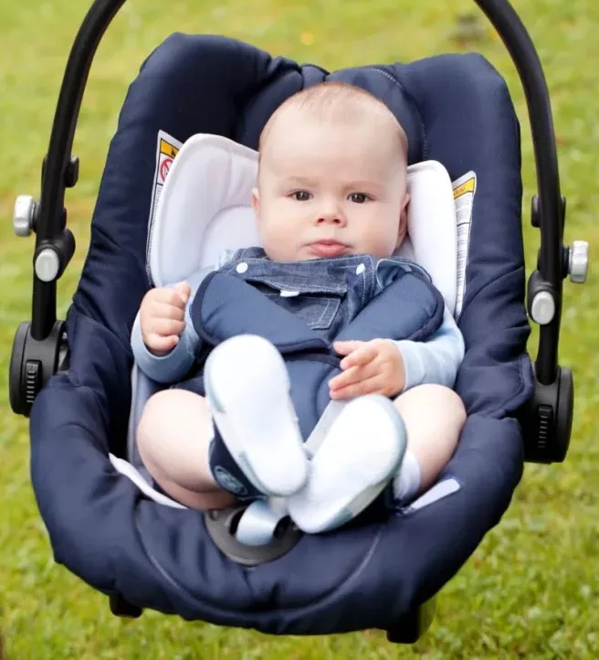 Canastilla Evolucriando