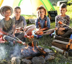 Elegir campamento.