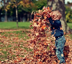 Juegos al aire libre en otoño